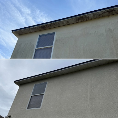 House washing project in Tampa, FL